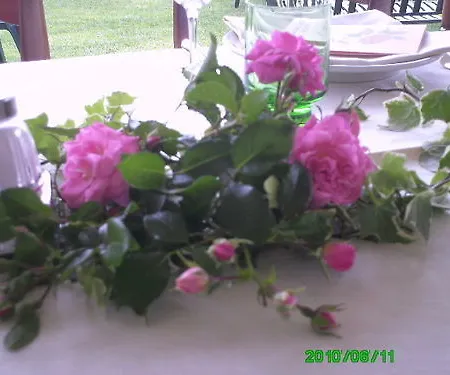 فندق Rusall تريميتْسّو